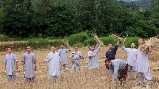 嵩山少林寺禅耕农场遭强拆?景区:系执法人员